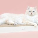 또산집 네이버블로그