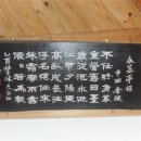 영산강변의 시인 '김선(金璇)의 삶과 문학'에 대한 考察 이미지
