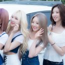사랑나루 Daum카페