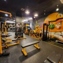 슬림한 바디 이미지