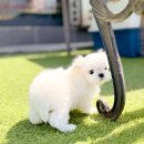 제일미용타운 이미지