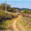 공항교강변공원 이미지