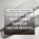 (주)다이본코리아 | 다이소 줌 바이 정샘물 새틴핏 스파츌라 파운데이션 19호 페어라이트 내돈내산 후기 (+색상, 발색사진 有)