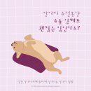 부평종합동물의료센터 이미지