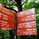백화정 이미지