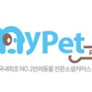 펫플러스 이미지