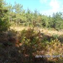 월송농장 이미지