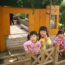 승민목장 이미지