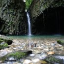 철원막국수 이미지