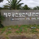 제주공천포전지훈련센터 야구장 이미지