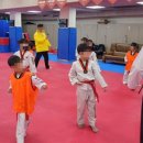 강한태권도장 이미지