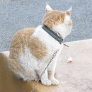 남창세탁소 이미지