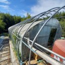 배꼽하우스 이미지