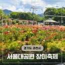 서울대공원 장미원 장미축제 테마가든 주차꿀팁 아기랑갈만한곳 실시간 만개 후기