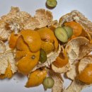 제주 메종포레 산후조리원 이미지