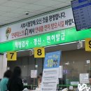 서울서부면허시험장 본관 이미지