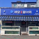 세영자연산활어회