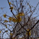 동녁공원 이미지