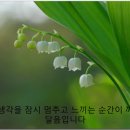 케르 네이버블로그