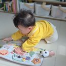 비지플레이12