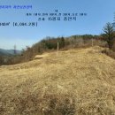 개울가 야영장 이미지