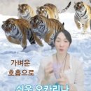 힐링 오카리나 이미지