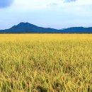 ㈜황금환경 이미지