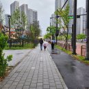 초보자도 즐길 수 있는 알라딘마라탕 내돈내산 후기