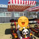 세종호수공원 제1주차장 | 세종호수공원 자전거 대여 가격 4인용 이용후기 벚꽃 나들이 코스