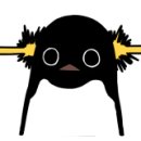 블라썸캣 이미지