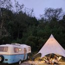 금산농협하나로마트비호점 이미지