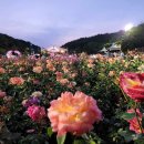 고래한방병원 | 병원 진료 다녀오는 날 베스트는