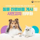 이상동물병원 이미지