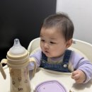 세움어린이집 | 이유식젖병 빨대컵연습 추천 : 토비앤몰리빨대젖병 (란시노호환추빨대)