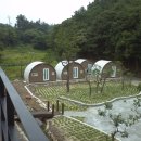 쎄미하우스 이미지