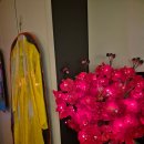 씨유 구리유탑유블레스점 | 구리점집 갓신내림 궁아씨당에서 신년운세보고 돌아오는 길