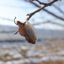 시미3리 이미지