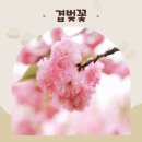 양양향교 네이버블로그