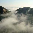 스카이블루버드