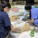 부천24시SKY동물메디컬센터 이미지
