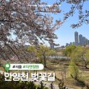 이마트24 양평선유도 | 안양천 벚꽃길 가는방법 안양천 벚꽃 개화상황 (선유도역 출발)