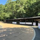 문화체육관광부 버스정류장 이미지