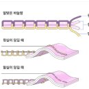 재봉기의 원리 이미지