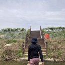 씨유 검단한내들정문점 | 2023.04.22. 토요일 감사일기 (검단신도시 계양천, 아라센트럴파크 산책, 형아고기, 네이버오븐)