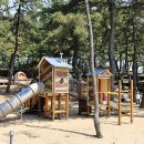 맹방 비치캠핑장 이미지