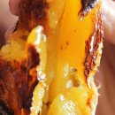 맛샘농장 이미지