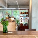 이상철농장 | 서촌 비건, 발효 식품 카페 큔 cafe qyun