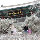 진안-진안-비상-25 이미지