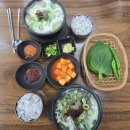 제주항일기념관 | 제주 조천 맛집 함덕골목 본점, 쌈 싸 먹는 해장국 후기