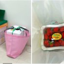 서울이즈정형외과의원 이미지